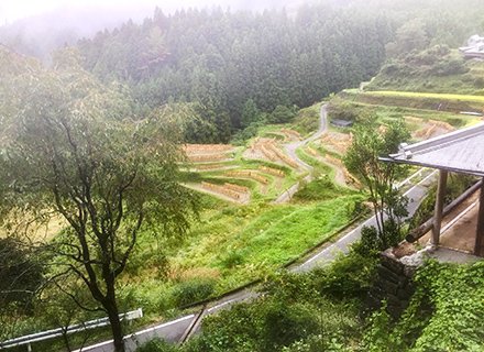 img13-1.jpg