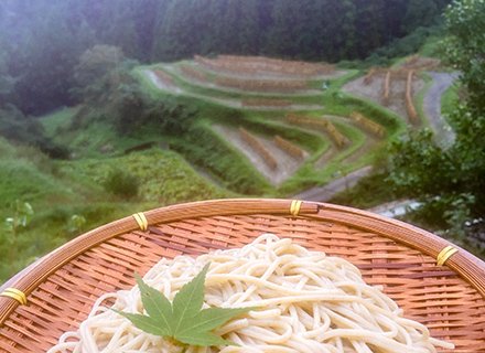 img14-1.jpg