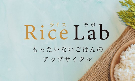 Rice Upcycled Beer ハレと穂 もったいないごはんをクラフトビールの原材料へアップサイクル 炊飯試験時のごはん→ビールの原料
