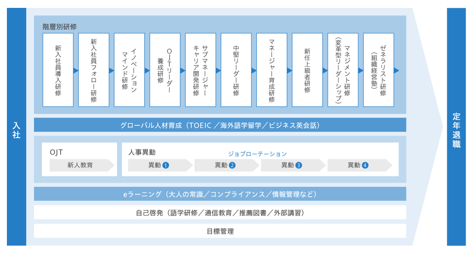 人材育成体系フロー