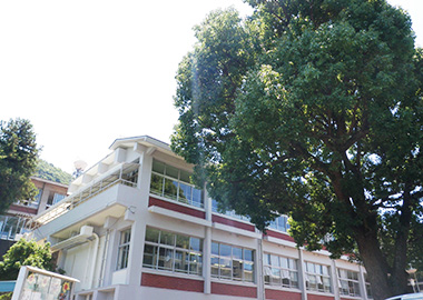 学校の写真