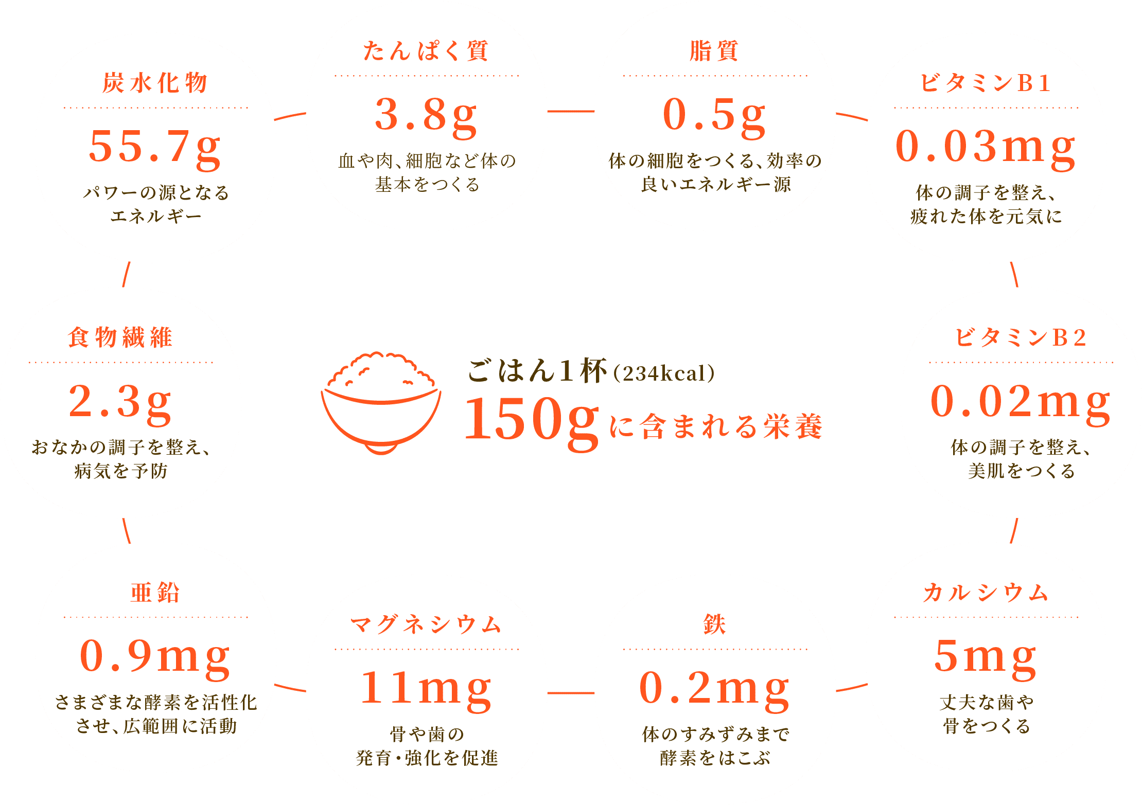ごはん1杯（234kcal）150gに含まれる栄養  炭水化物 55.7g パワーの源となる
							エネルギー  たんぱく質 3.8g 血や肉、細胞など体の
							基本をつくる  脂質 0.5g 体の細胞をつくる、効率の
							良いエネルギー源  ビタミンB1 0.03mg 体の調子を整え、
							疲れた体を元気に  ビタミンB2 0.02mg 体の調子を整え、
							美肌をつくる  カルシウム 5mg 丈夫な歯や
							骨をつくる  鉄 0.2mg 体のすみずみまで
							酵素をはこぶ  マグネシウム 11mg 骨や歯の
							発育・強化を促進  亜鉛 0.9mg さまざまな酵素を活性化
							させ、広範囲に活動  食物繊維 2.3g おなかの調子を整え、
							病気を予防