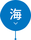 海