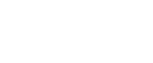 675人 (2024年11月20日現在)