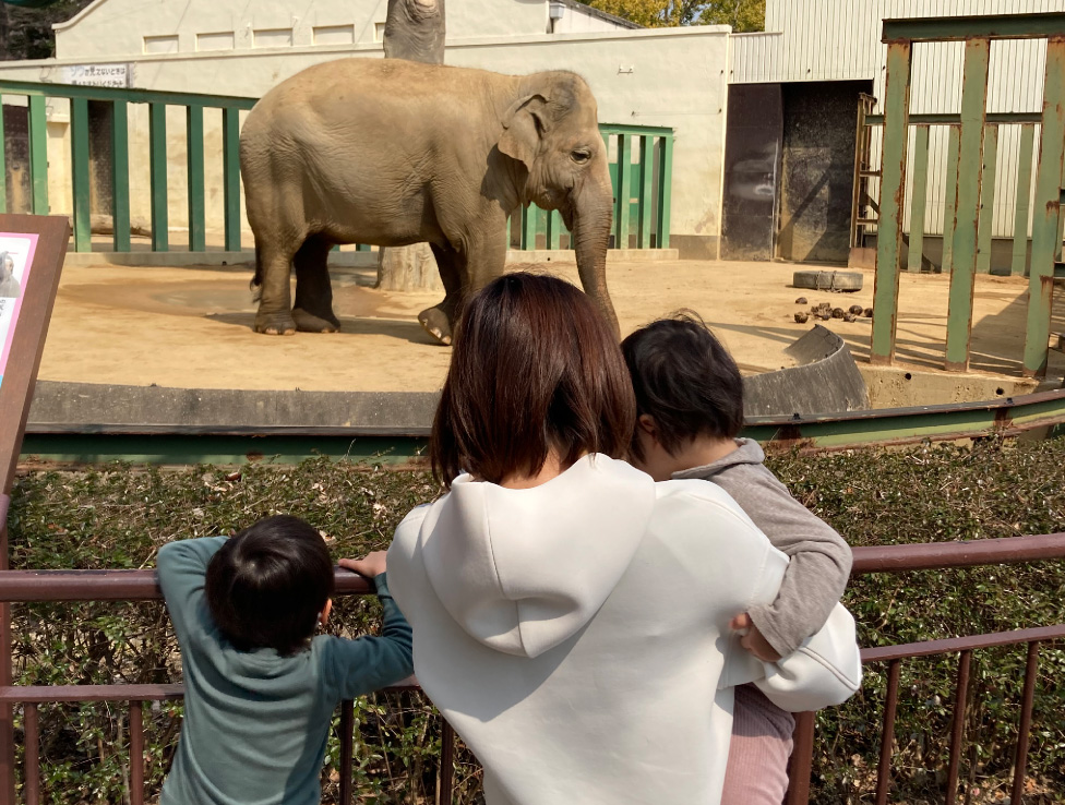 子供と動物園に行っている様子